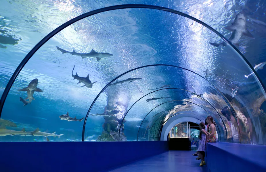 Osaka Aquarium Kaiyukan